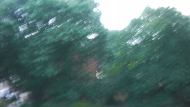 Motion-blurred green trees with a brick building visible through them